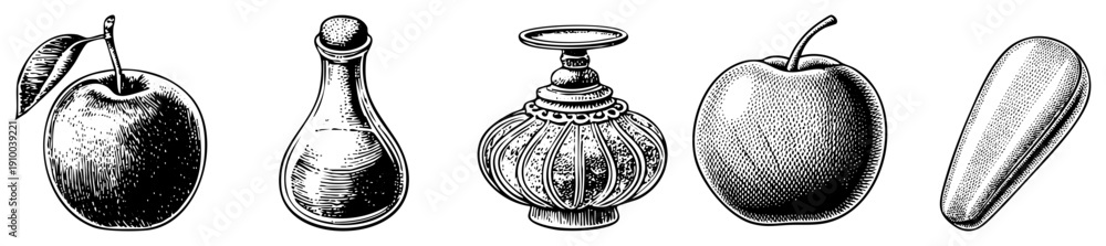 Obraz premium Classic engraved fruit and vessel illustrations, vintage engraving style, art, retro botanical design, antique graphic elements.
