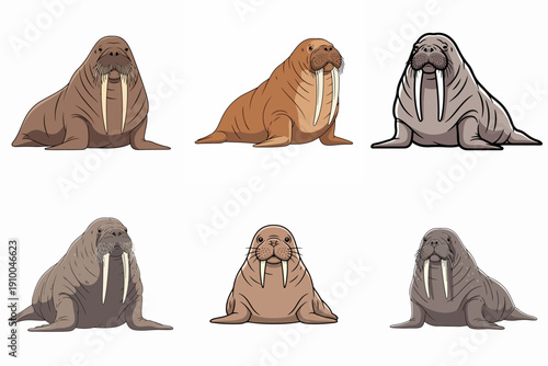 illustration set of walruses on a white background