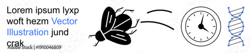 Evolutionary biology, genetic research, time tracking, science education, biological study, DNA decoding. A fly next to a clock and DNA strand. Evolutionary biology and genetic research concept