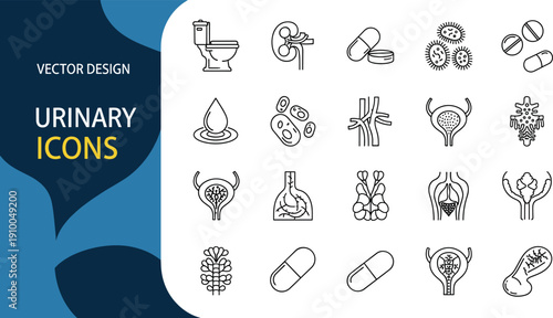 Collection of minimal urinary system line icons including bladder kidneys ureter tract infection and urology medical symbols