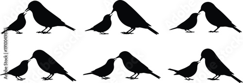 Set of Minimalist black small bird feeding another bird silhouette vector icon