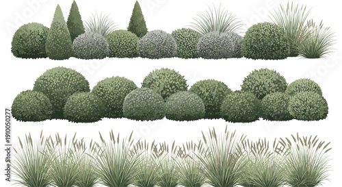 Collection of Green Garden Shrubs Bushes Decorative Grasses and Topiary Plants in Flat Vector Style Isolated on White Background for Landscape Design Architecture Projects (25 words)