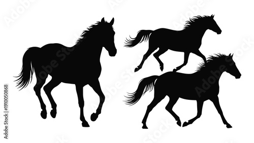 Silhouettes of horses in various dynamic poses against a white background. isolated on white background, Vector