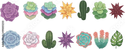 Colorful Succulent and Cactus Collection Featuring Echeveria Rosettes Tropical Monstera Leaf and Desert Cacti Vector Illustrations Isolated on White Background for Houseplant Decor Design (25 words)