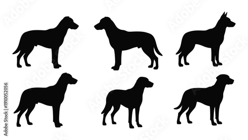 Six different silhouettes of dogs in various poses and positions. isolated on white background, Vector