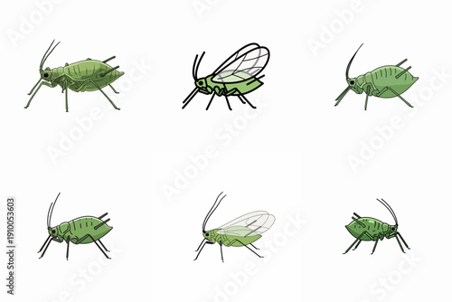 illustration set of Aphids on white background
