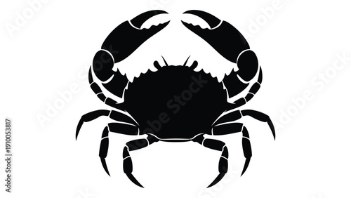 A detailed black and white illustration of a crab with prominent claws and a textured body. isolated on white background, Vector