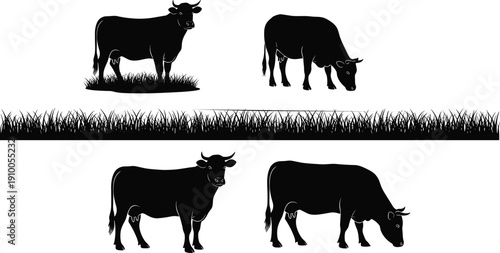 Cow Silhouette Set With Grazing And Standing Cattle On Grass, Farm Livestock Black Vector Illustration Collection Isolated On White Background For Agriculture Design