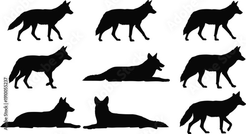 Coyote, silhouette, wolf, jackal, animal, predator, wildlife, vector, nature, mammal, hunter, wilderness, black, isolated, canine, Wild animal, coyote silhouette, 