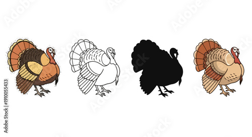 Four different turkey illustrations including a silhouette and line drawing.