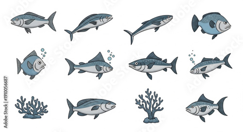 Collection of Various Hand Drawn Fish and Coral Illustrations.