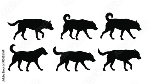 Black silhouettes of cats walking in different postures and styles isolated on white background, Vector