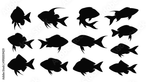 A diverse collection of black silhouettes of various fish species isolated on white background, Vector