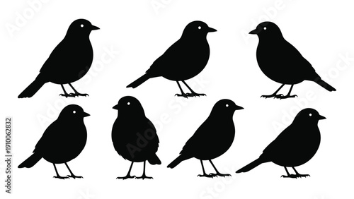 A collection of eight black silhouettes of birds in various poses and positions isolated on white background, Vector