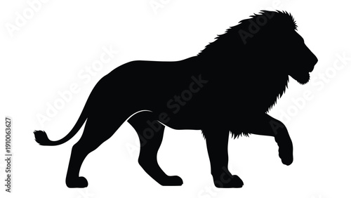 Majestic black silhouette of a lion walking with a full mane and tail isolated on white background, Vector