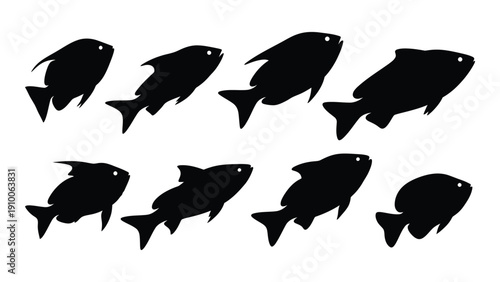 Eight black silhouettes of fish swimming in different directions isolated on white background, Vector
