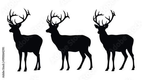 Three majestic deer with large antlers standing in a row on a white background isolated on white background, Vector