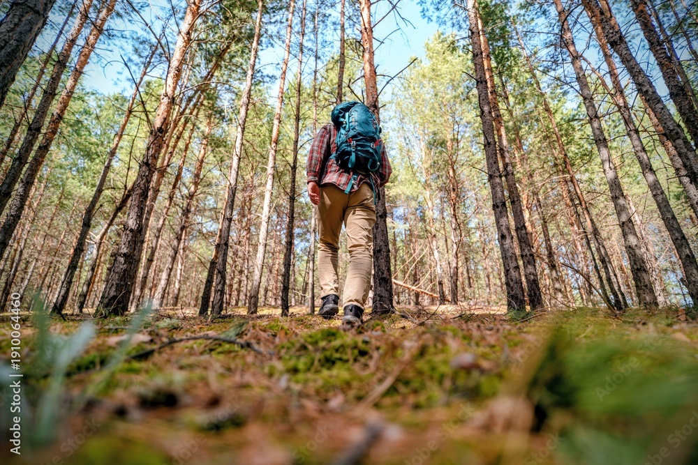 Fototapeta premium Hiking in the forest 