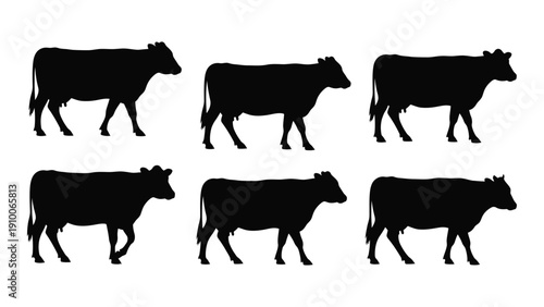 Eight black silhouettes of cows walking in different directions on a white background isolated on white background, Vector