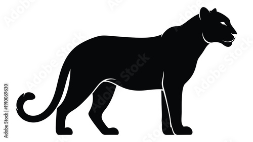 Black silhouette of a panther standing on its hind legs with tail curled isolated on white background, Vector