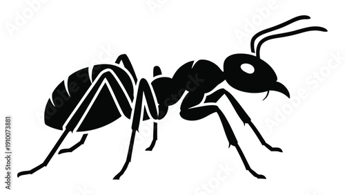 A detailed black and white illustration of an ant with prominent features isolated on white background, Vector