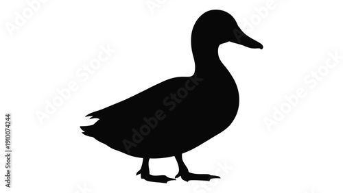 A black silhouette of a duck standing on one leg with its head turned to the side isolated on white background, Vector