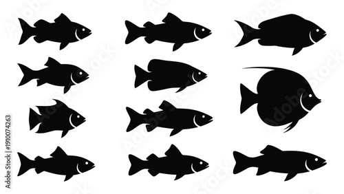 A diverse collection of black and white fish illustrations in various shapes and sizes isolated on white background, Vector