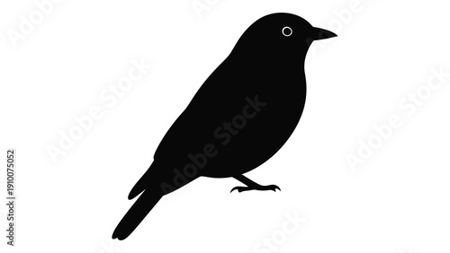 A black bird with a distinctive eye ring perched on a branch. isolated on white background, Vector