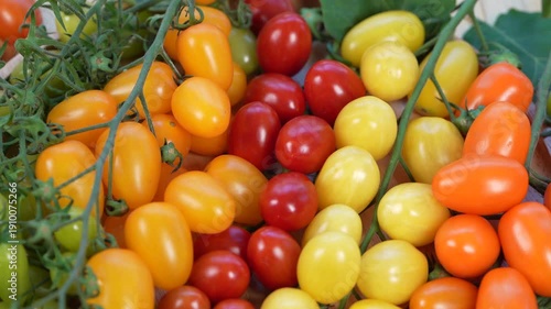 Colorful premium cherry tomatoes in red, yellow, orange and green tones filling the frame, fresh organic produce concept for healthy eating, vegan diet and farm to table food on wooden table.