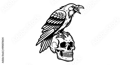 Black and White Crow on Skull Illustration.