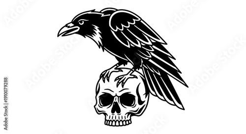 Black crow perched on human skull.