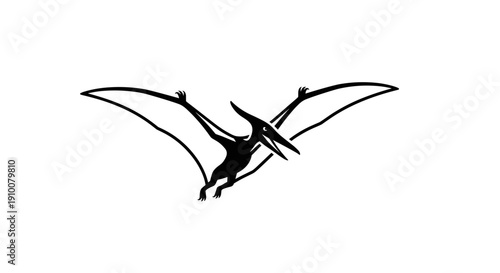 Black Silhouette of Flying Pterodactyl.