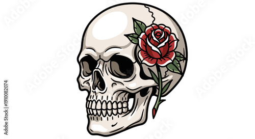 Illustration of Skull with Red Rose.