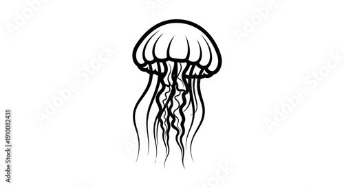 Simple Black and White Jellyfish Illustration.
