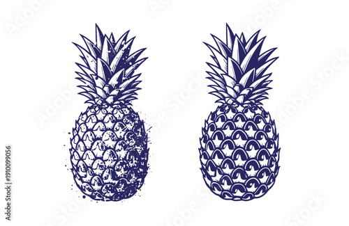 Grunge texture Two blue illustrations of pineapples with different textures on white background  fruit still life Vintage Style
