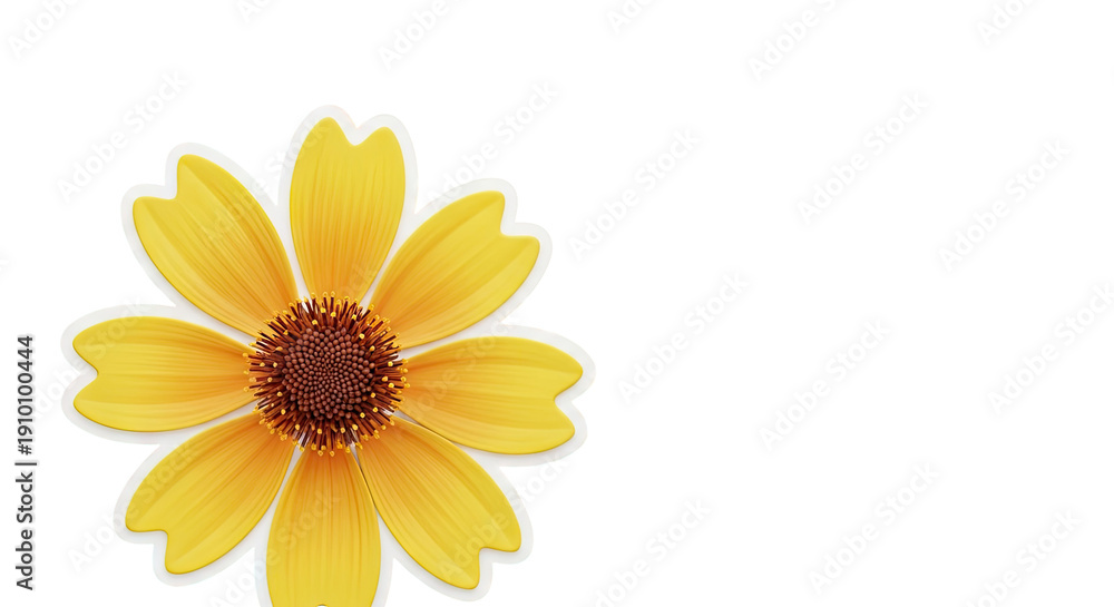 Obraz premium Yellow Daisy Flower with White Background