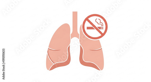 Healthy lungs with no smoking symbol anti smoking concept lungs illustration