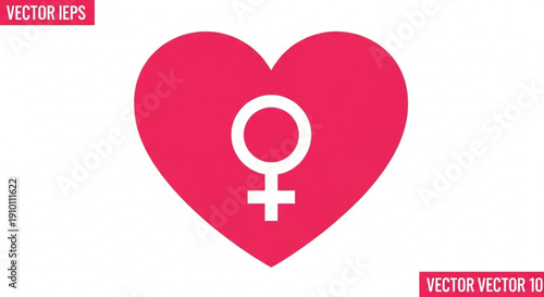 Pink heart symbol with female sign on white background for love and gender concepts