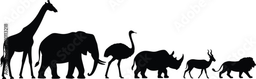 African safari animals silhouettes set, giraffe elephant ostrich rhinoceros antelope lion wildlife collection isolated on white background vector illustration