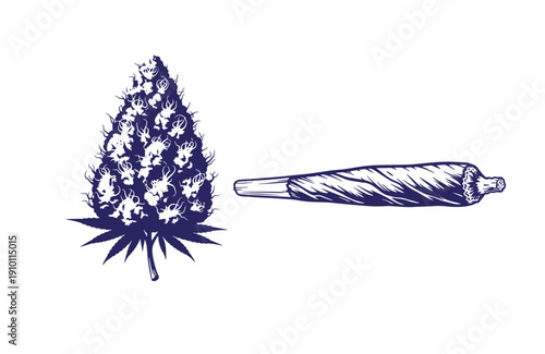 Grunge texture marijuana plant and rolled joint illustration on white background  cannabis leaf and blunt drawing Vintage Style