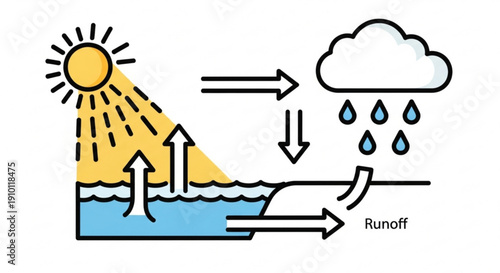 The water cycle process with evaporation condensation and runoff