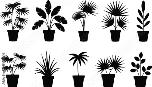 Potted plant silhouette collection featuring tropical houseplants indoor foliage decorative plants isolated black vector illustration set for home garden decoration design projects