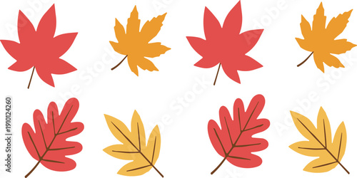 Autumn fall leaves flat vector set colorful maple and oak foliage seasonal nature illustration collection isolated