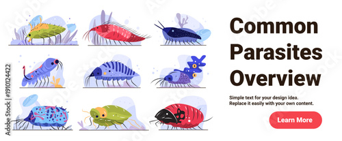 Parasite types medical infection disease pathogen overview colorful cartoon microbe organisms various shapes isolated on white background website banner