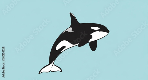 vector illustration of a dolphin