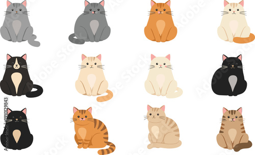 Cute Cat Breeds Vector Collection with Sitting Domestic Feline Characters in Different Coat Colors Flat Cartoon Style Isolated on White Background.