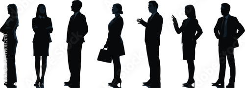 Business people silhouettes, professional diversity, corporate teamwork, leadership communication, office negotiation, partnership growth, business collaboration, strategy planning