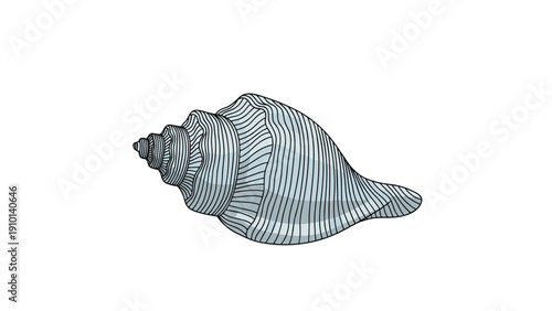 Single light blue conch sea shell with fine textured spiral lines isolated on a plain white background for art.