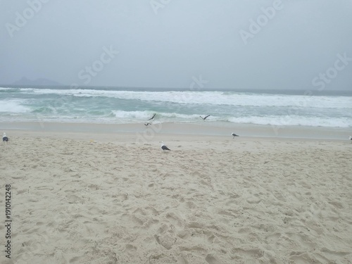 beach in the morning