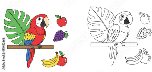 Cute cartoon Scarlet Macaw parrot perching on a branch with a green monstera leaf. Vector illustration of a tropical bird surrounded by fresh fruits including apple, grapes, and bananas.